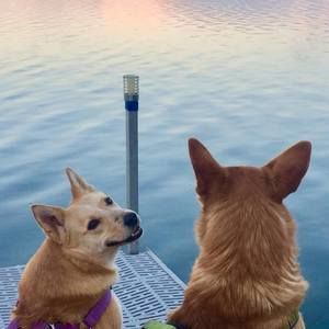 Meet your Posher, Bethany